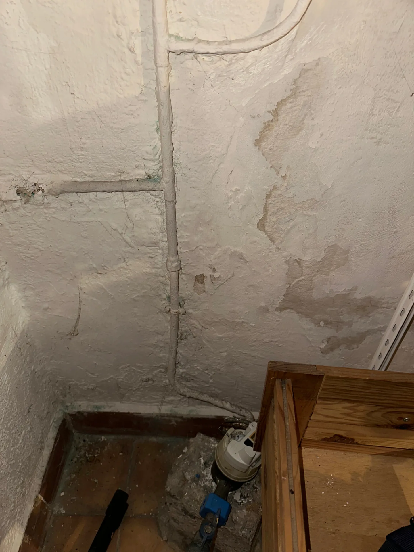 mur dégradé par l’humidité lors d’une intervention à Versailles 78