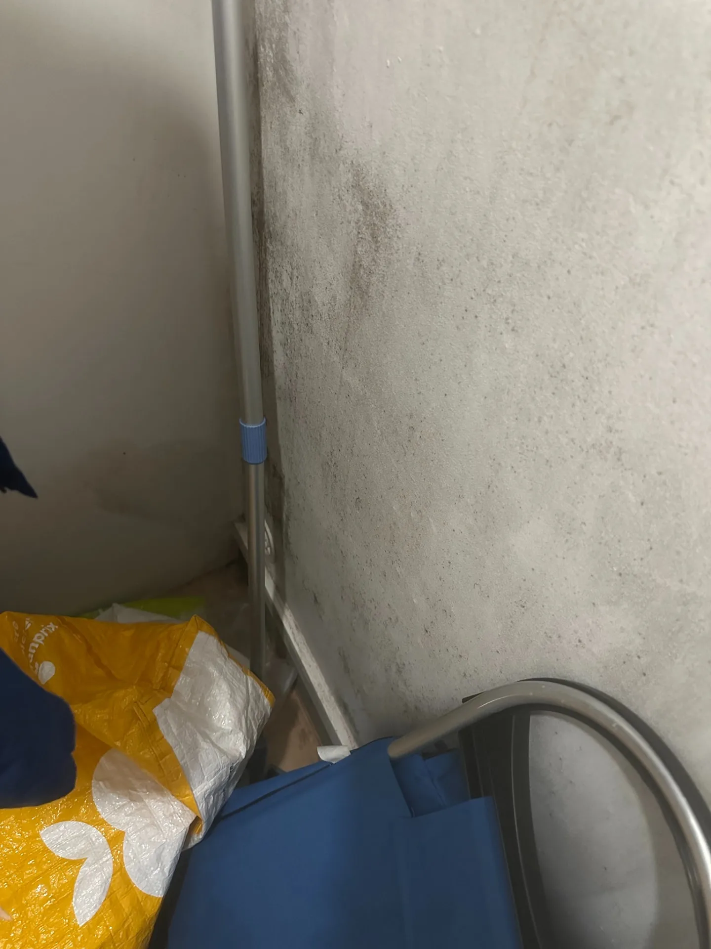 moisissures sur mur intérieur à Saint-Maur-des-Fossés 94
